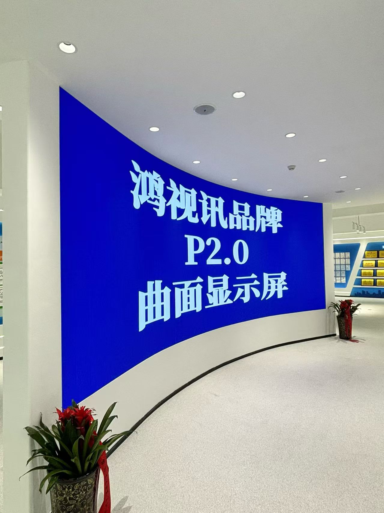 鸿视讯科技